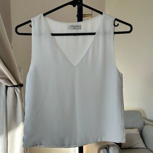 White Babaton Blouse (Aritzia)